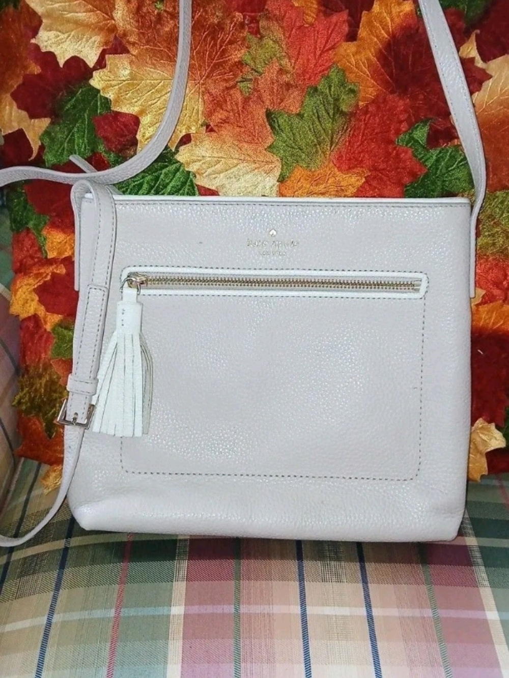 Kate Spade Chester Street Dessi Crossbody Bag in Rose Cloud